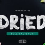 Dried Bold Font