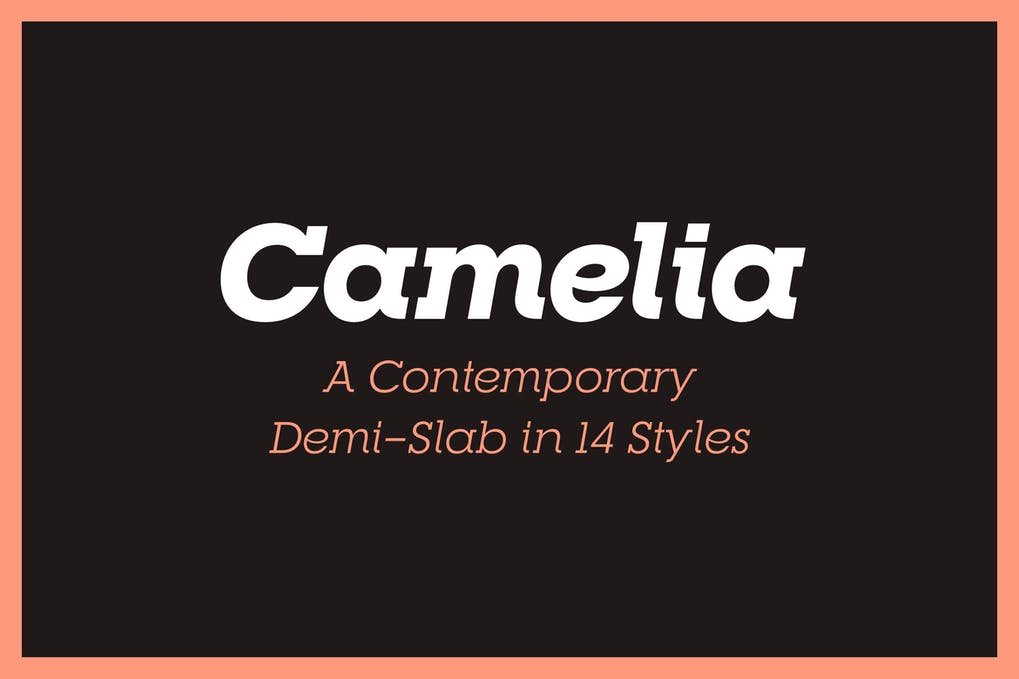 RNS Camelia Font