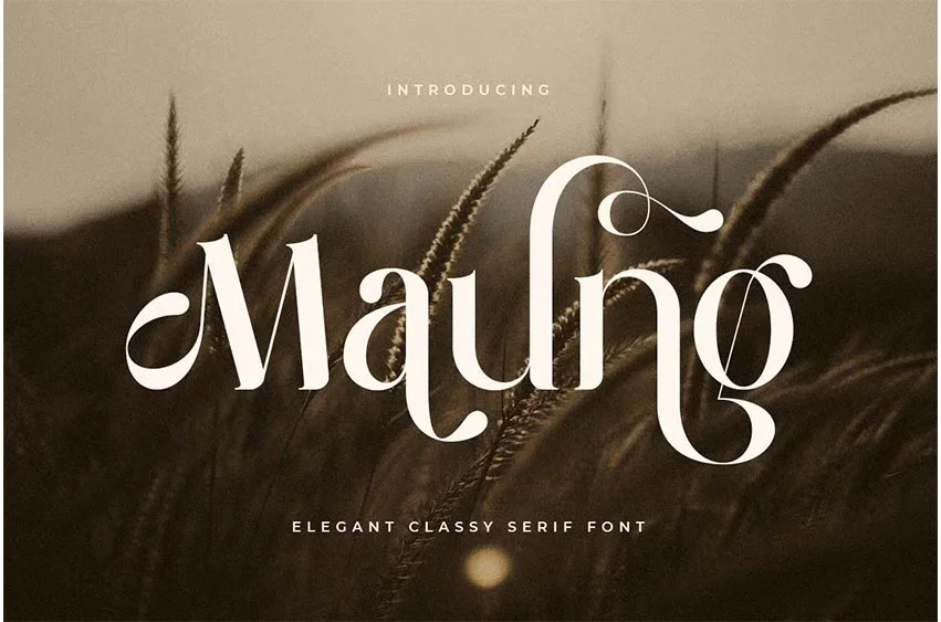 Maung Font