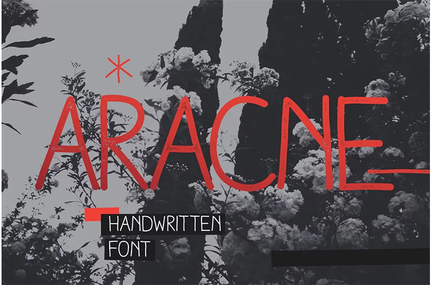Aracne Font