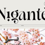 Nigante Font