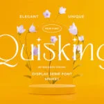 Quisking Font