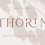 Thorin Font