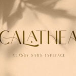 Calathea Font