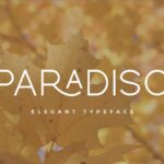 Paradiso Font