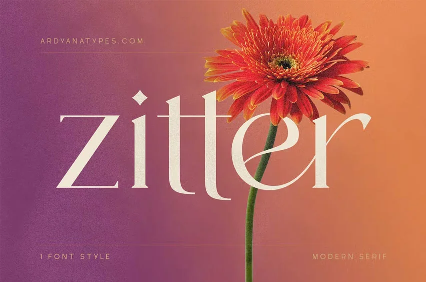 Zitter Font