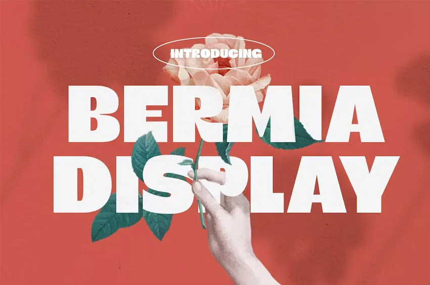 Bermia Font