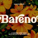 Bareno Font