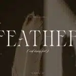 Feather Font