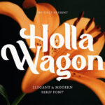 Holla Wagon Font