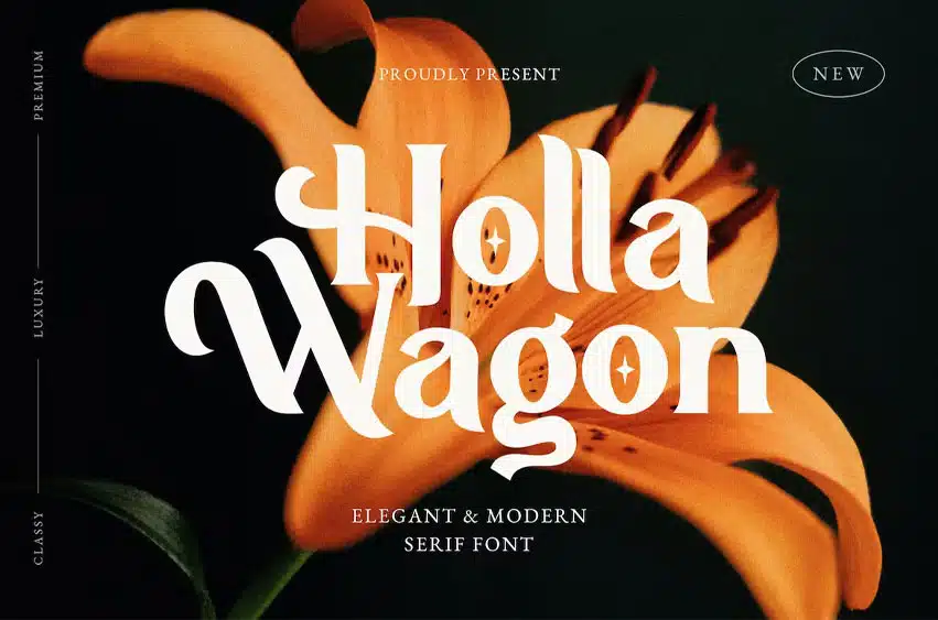 Holla Wagon Font
