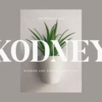 Kodney Font