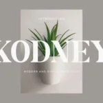 Kodney Font