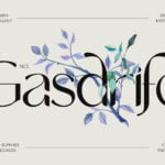 NCL Gasdrifo Font