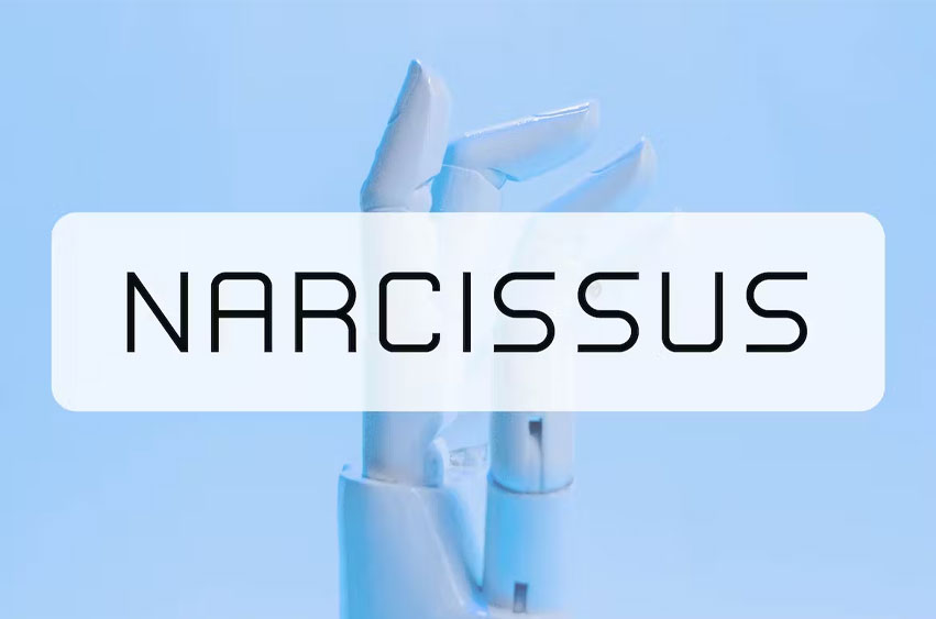 Narcissus Font
